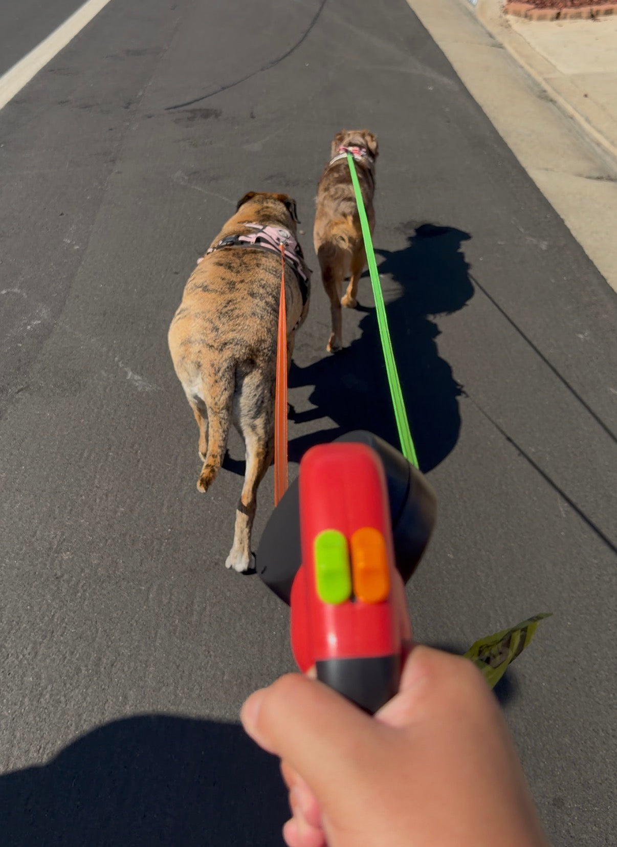 Non-Tangle Dual Retractable Dog Leash With Built-In Poop Bag Holder